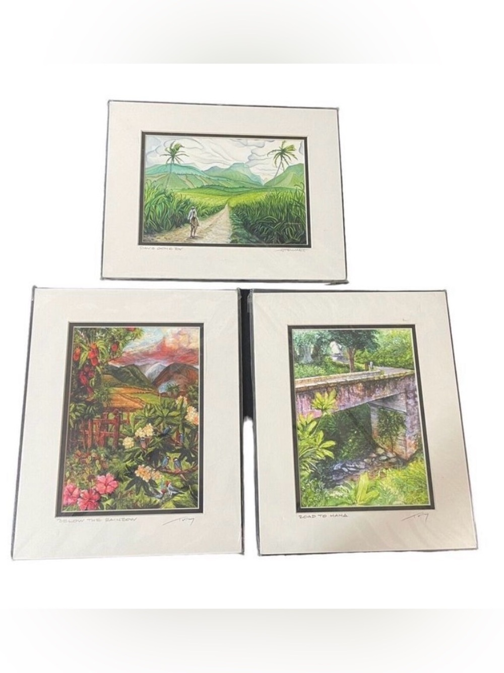 Signed Hawaiian Tropical Watercolor Wall Art - Picture 10 of 10